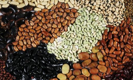 提高免疫力從食物下手 吃菌菇類有利于增強免疫力