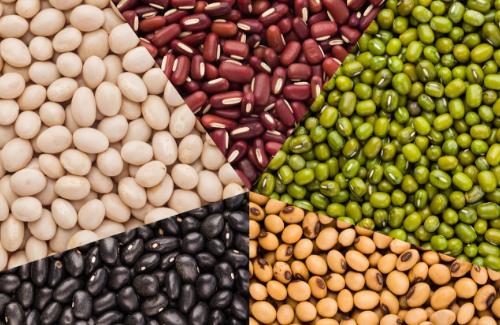 體弱愛生病 4種食物提高免疫力