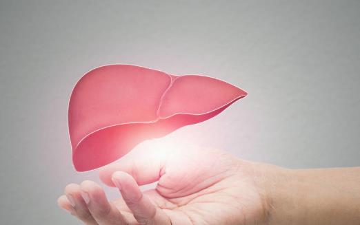 養(yǎng)肝小錦囊適合日常調(diào)理 養(yǎng)肝護(hù)肝6道食療粥