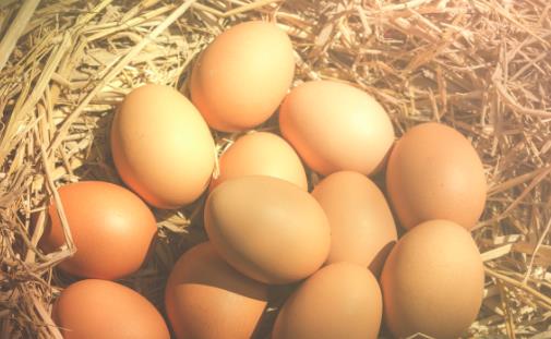 雞蛋雖好不可亂吃 吃完雞蛋后千萬(wàn)別吃的食物