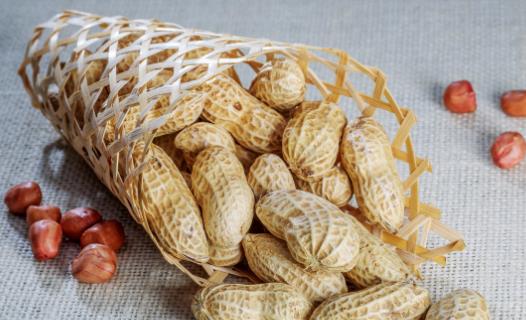 吃花生可以讓你記憶好更年輕 預防心腦血管疾病