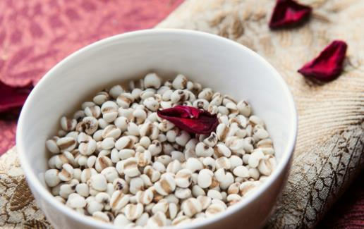 薏米性寒不適合長期大量的食用 食用紅豆薏米粥的禁忌