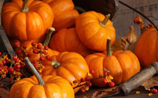 南瓜的營養(yǎng)價(jià)值 南瓜粥適合脾胃虛弱營養(yǎng)不良的人群