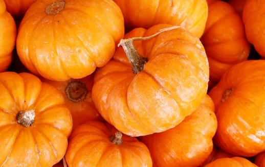 南瓜的營養(yǎng)價(jià)值 南瓜粥適合脾胃虛弱營養(yǎng)不良的人群