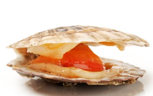 血管老人就老 讓老化的血管盡量年輕的九種食物