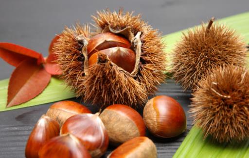 想要養(yǎng)好脾虛 脾胃調(diào)理四個(gè)養(yǎng)生方