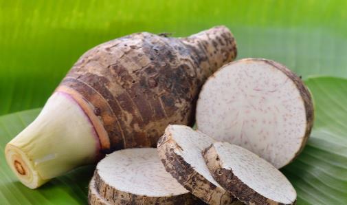 使用梳子竟然可以預(yù)防脫發(fā)