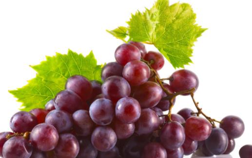 擁有好肌膚 日常飲食多吃10種護膚效果極佳的食物