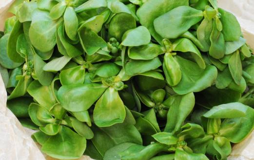 濕氣太重皮膚油膩 10種有強效祛濕功效的食物