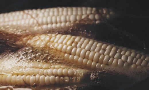 夏天飲食該進補 營養(yǎng)師推薦美味解暑湯