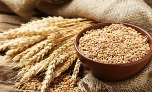 五谷雜糧可養五臟 常食五谷雜糧的七大好處