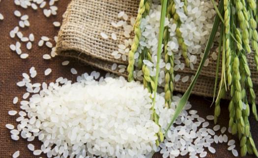 五谷雜糧可養五臟 常食五谷雜糧的七大好處