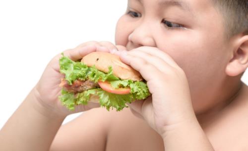 兒童期肥胖不斷增加 三個年齡段要警惕小兒發胖趨勢