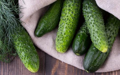 吃黃瓜減肥消除脂肪 黃瓜減肥食譜