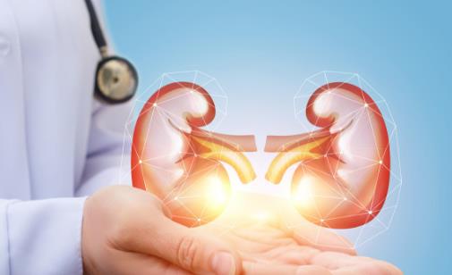 養生應注重腎臟保養 應避免這3件傷腎的事情