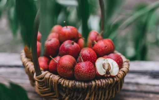 銀耳能美容養顏補腎強心 四種銀耳家常做法