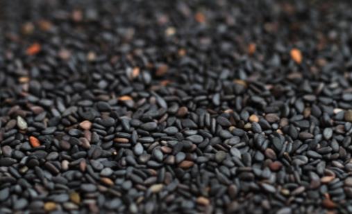 白發(fā)生長位置標志著臟腑健康 前額白發(fā)多為脾胃失調