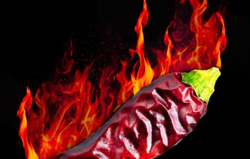 夏季炎熱很容易上火 幫你清熱瀉火的日常食譜