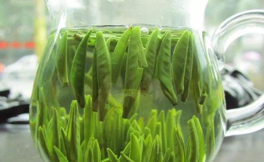 增強體質延緩衰老 多吃8種食物能幫助你