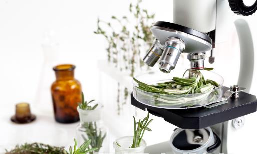 洗蔬菜水果時如何去掉農藥殘留