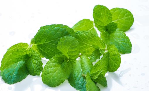 夏季這些消暑方法會傷身 九種有效的解暑方法