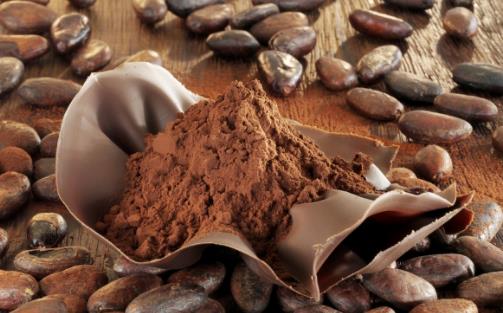 多款美味又濃醇的可可風(fēng)味飲，一次都學(xué)會！