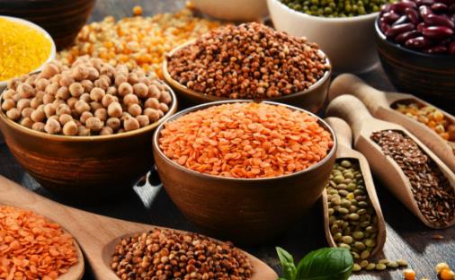 科學用腦積極補腦 能補腦的13種食物