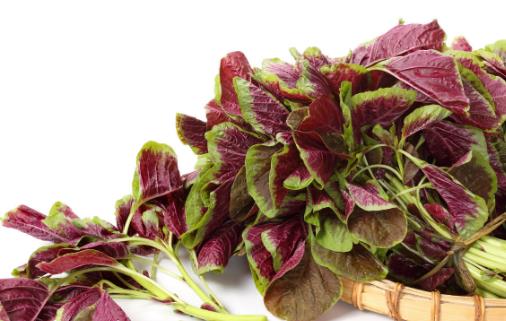 適合高血壓患者的食物 降血壓的注意事項