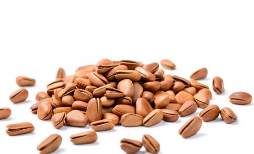 腎氣不足 秋季補腎應多吃這10種食物