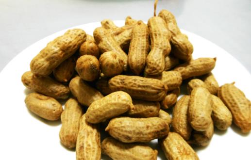 腎氣不足 秋季補腎應多吃這10種食物