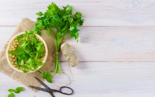 香菜的營養價值 這類人不能吃香菜