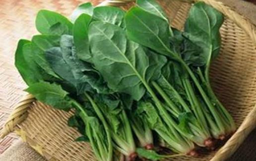 十個食物營養搭配組合 常見食物搭配禁忌