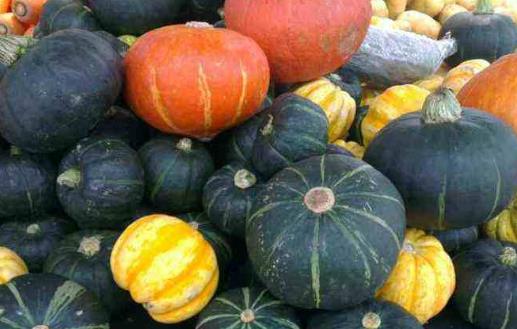 食品對體內毒素起到清潔作用 10種食物排出身體毒素