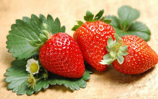 需要補鈣 這10種食物含鈣量驚人