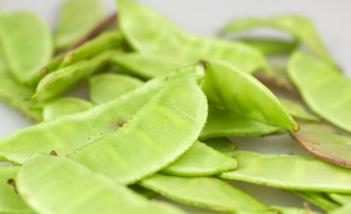 秋老虎來臨，5大時令食材抗秋燥！