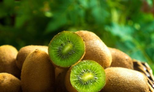 餐前吃個奇異果，可控制血糖