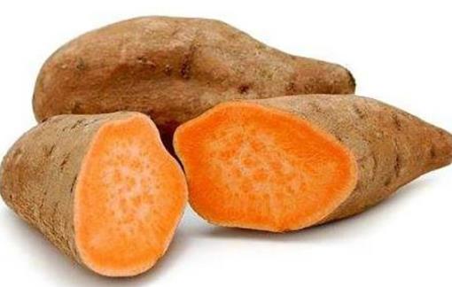 不同顏色薯的區別 紫肉甘薯為花青素大王