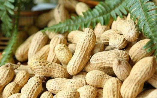 老人的飲食要選擇 適合老人吃的八種營養食物