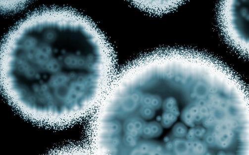 超級真菌可稱為暴發性流行 應對超級真菌的三種方式