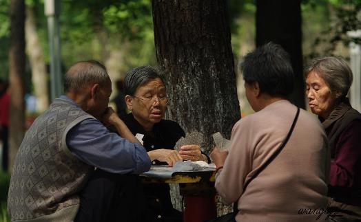 適合老人培養的興趣愛好 想開心快樂全靠自己去尋找