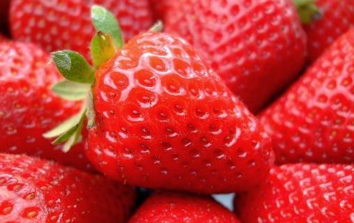 老年人容易上火 能給老年人降火的10種食物