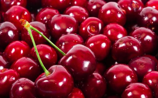 車厘子致急性胃腸炎 吃車厘子要注意這些