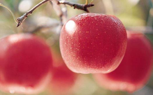 六種快速減肥的方法 這些減肥方法真的適合你