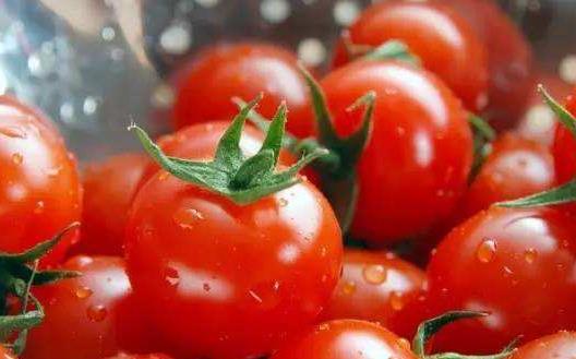 減肥不用節(jié)食 10種減肥食物熱量低又飽腹