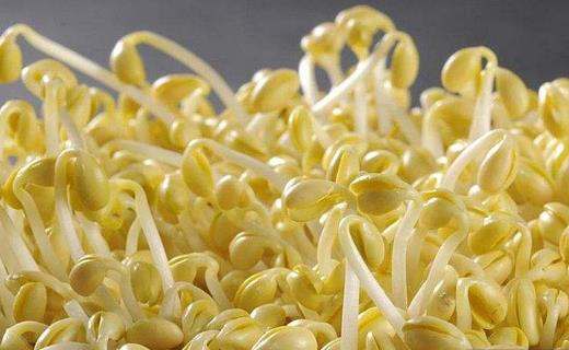 蔬菜有最佳的瘦身功效 美容美體的超級食品