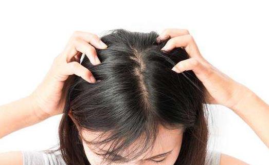 女性脫發的八大原因 防脫發的食譜來預防