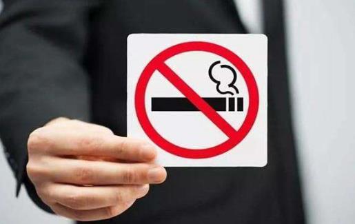 駕車族的職業病 適合駕車族的飲食