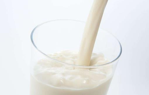 羊奶和牛奶存在的區別 關于喝羊奶的禁忌