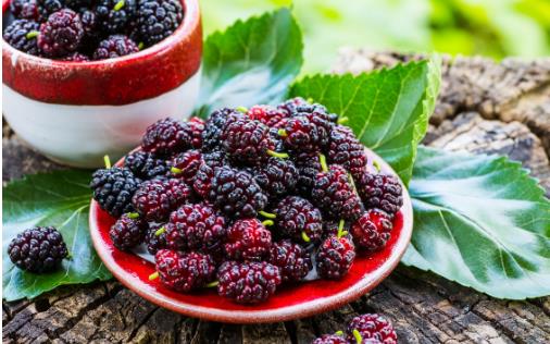 平時(shí)喝黑桑葚汁有這些好處 你一定要知道