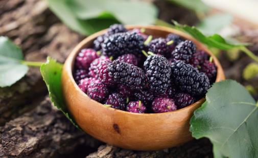 平時(shí)喝黑桑葚汁有這些好處 你一定要知道